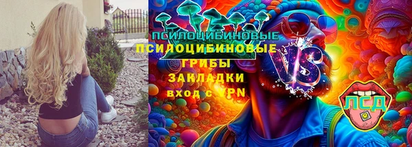 трава Аркадак