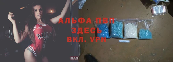 трава Аркадак