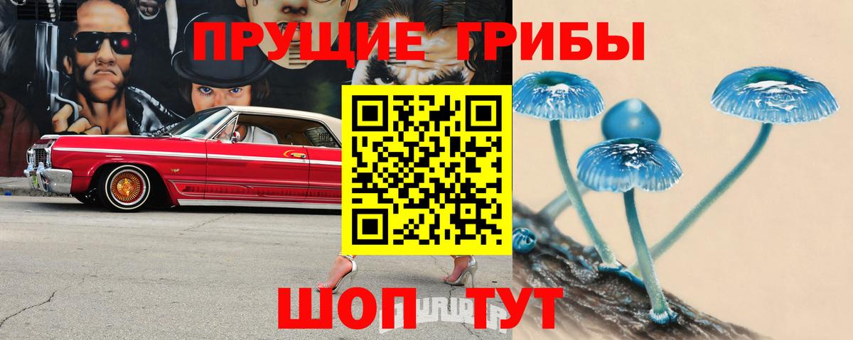 дарнет шоп  Вход с VPN  Серов  Галлюциногенные грибы ЛСД 