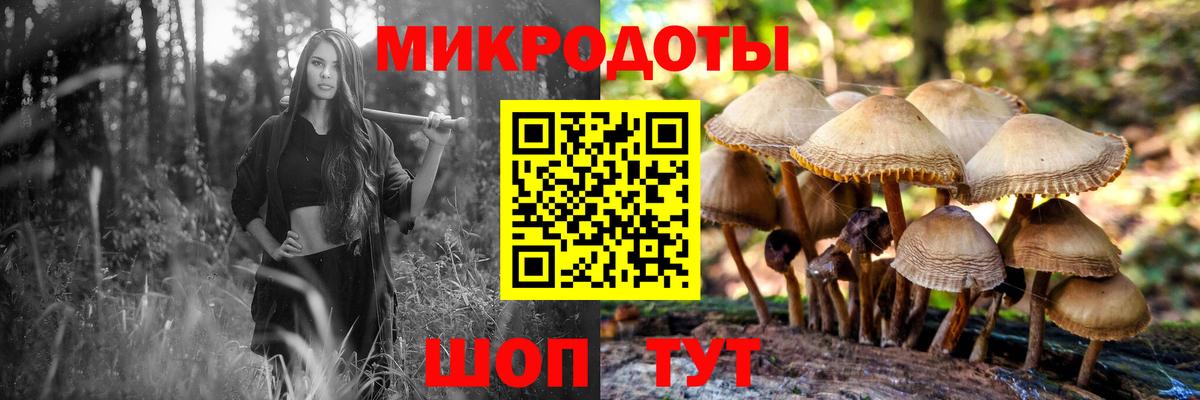 Галлюциногенные грибы Psilocybine cubensis Серов